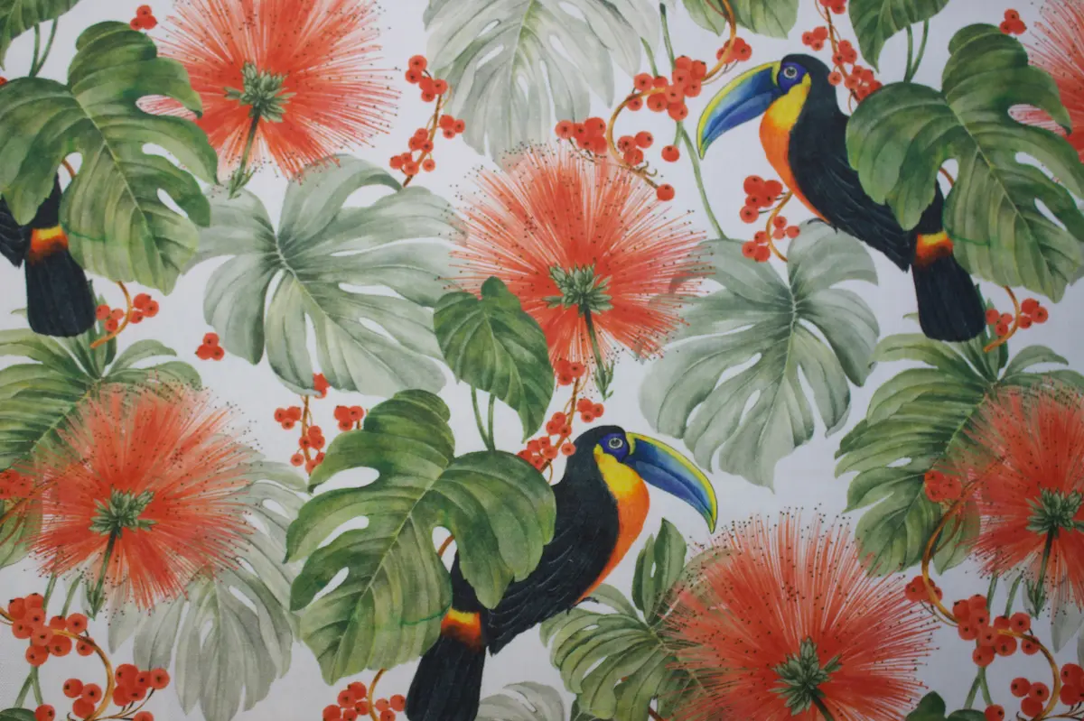 Tissus jungle toucans
